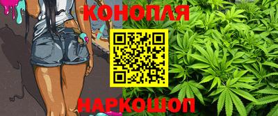 сатива Обь