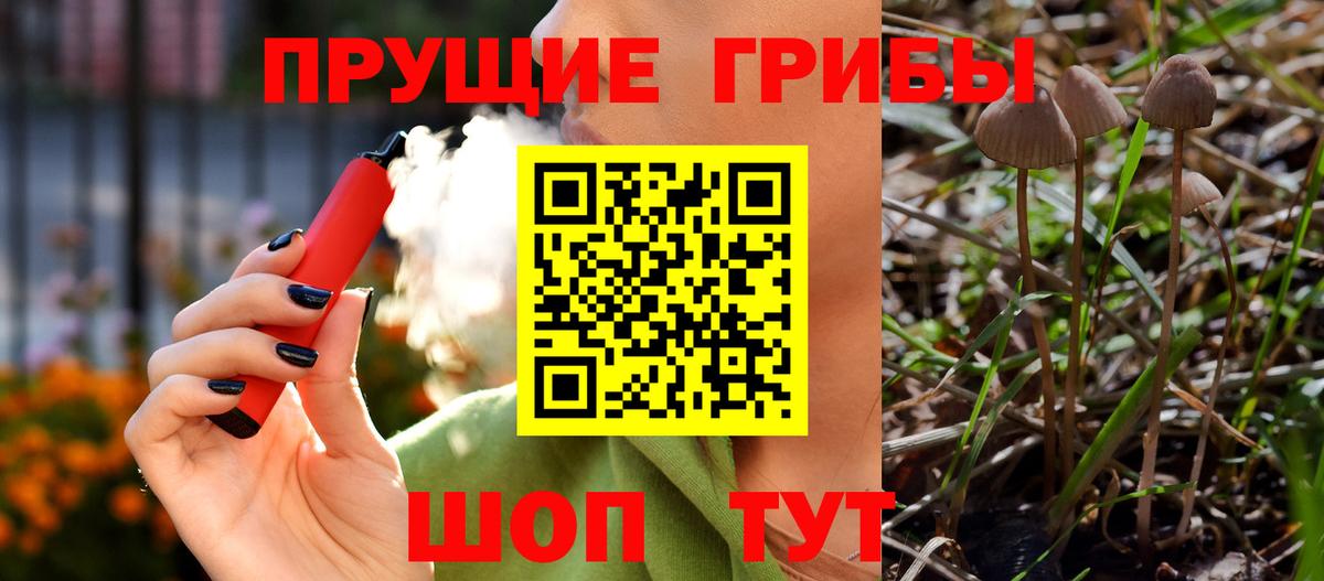 Псилоцибиновые грибы мухоморы  Вход с VPN  Псилоцибиновые грибы ЛСД  Трёхгорный 