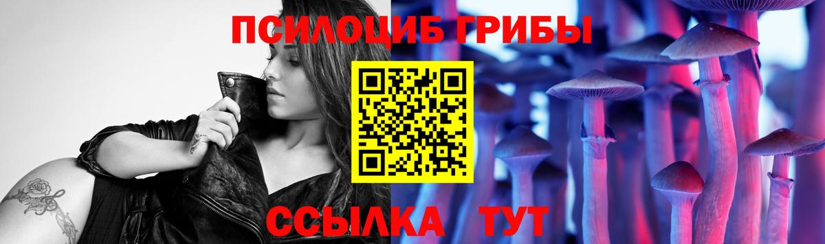 Галлюциногенные грибы Psilocybine cubensis Трёхгорный
